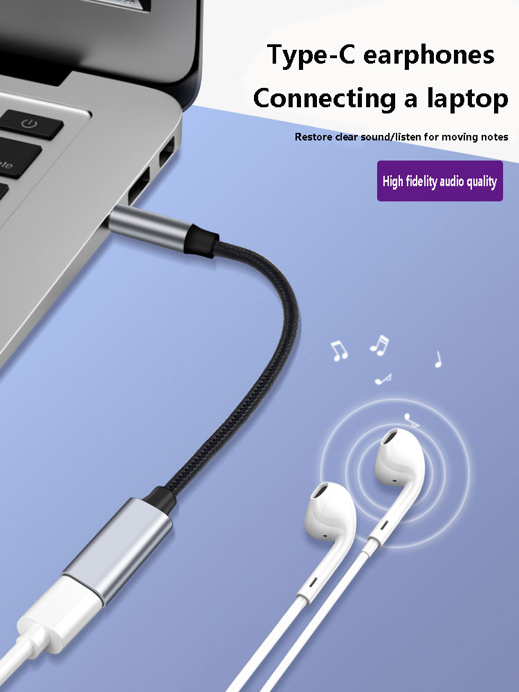 3.5mm Male to Type-C Aux Audio - đánh giá và giá Contact Pickup Mic